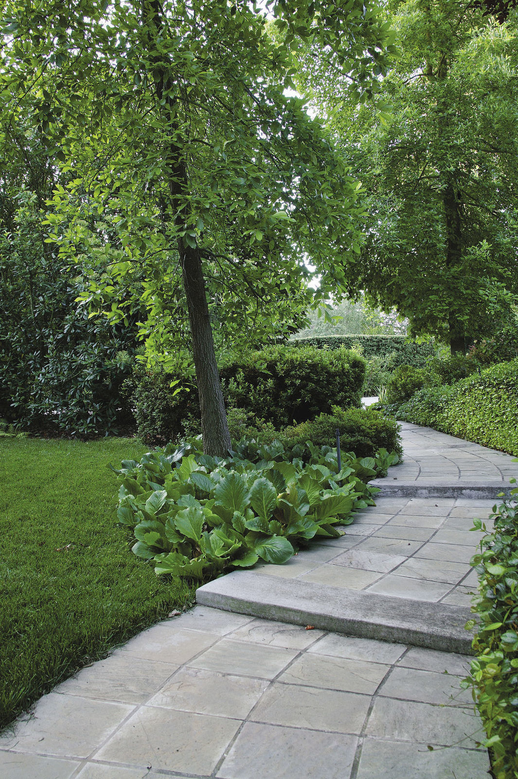 Large, loose ground covers work well under trees.