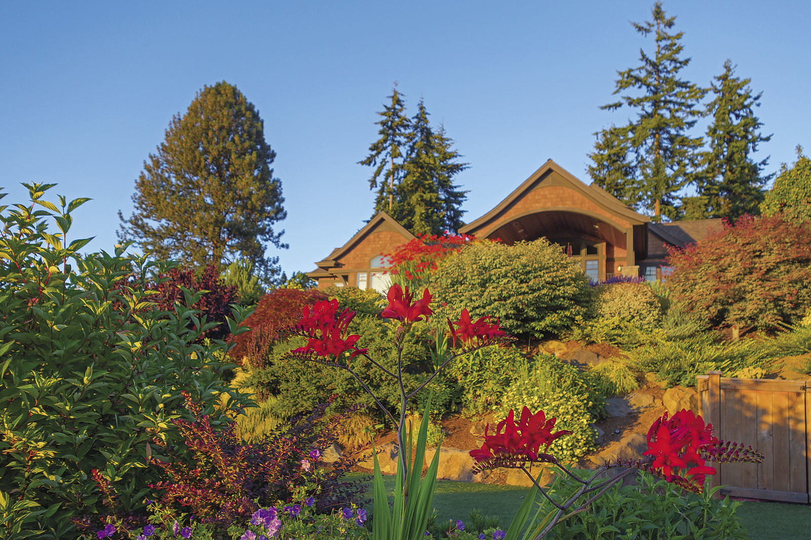 Pops of bright red flowers draw the eye among other flowers with a house and yard as the backdrop