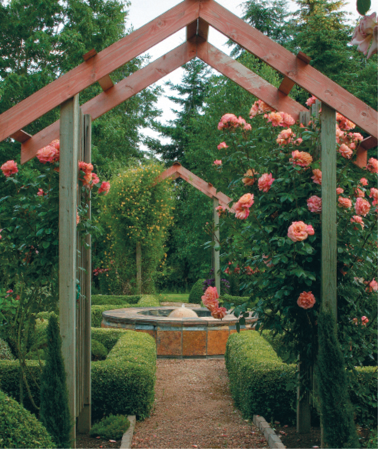 A rose arbor ahead of a boxwood lined path leading to a modern tiled water feature 