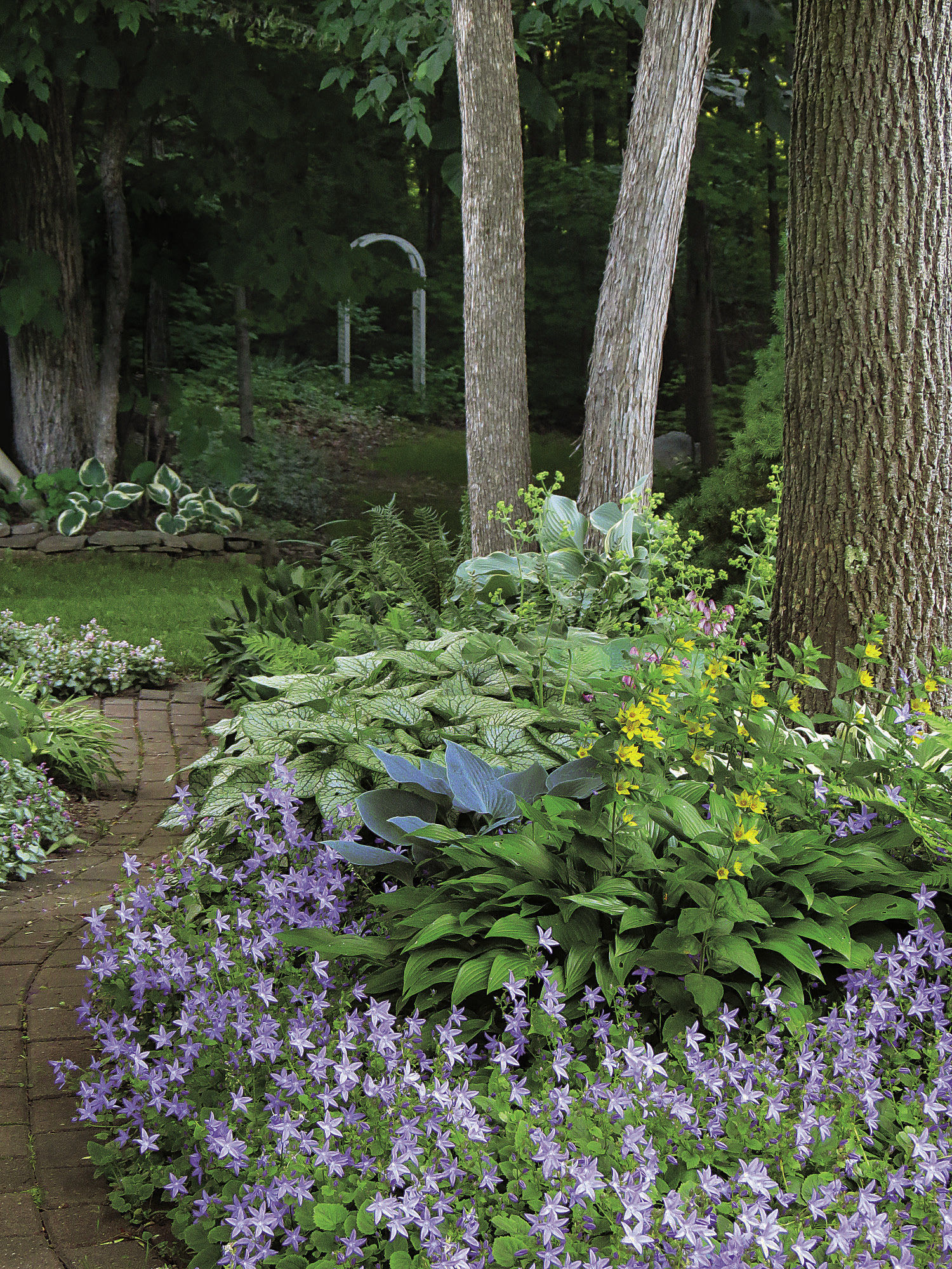 Mixing shade-loving, colorful flowers and bold foliage dif­ferentiates garden beds from the untamed woods beyond.