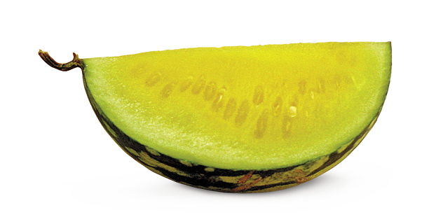 'Yellow doll' watermelon 