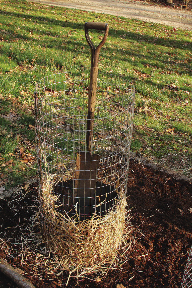 The easiest way to grow potatoes - Feathers in the woods