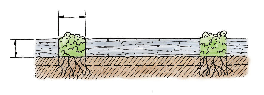 diagram of path with ground covers spaced out between stepping-stones and pavers