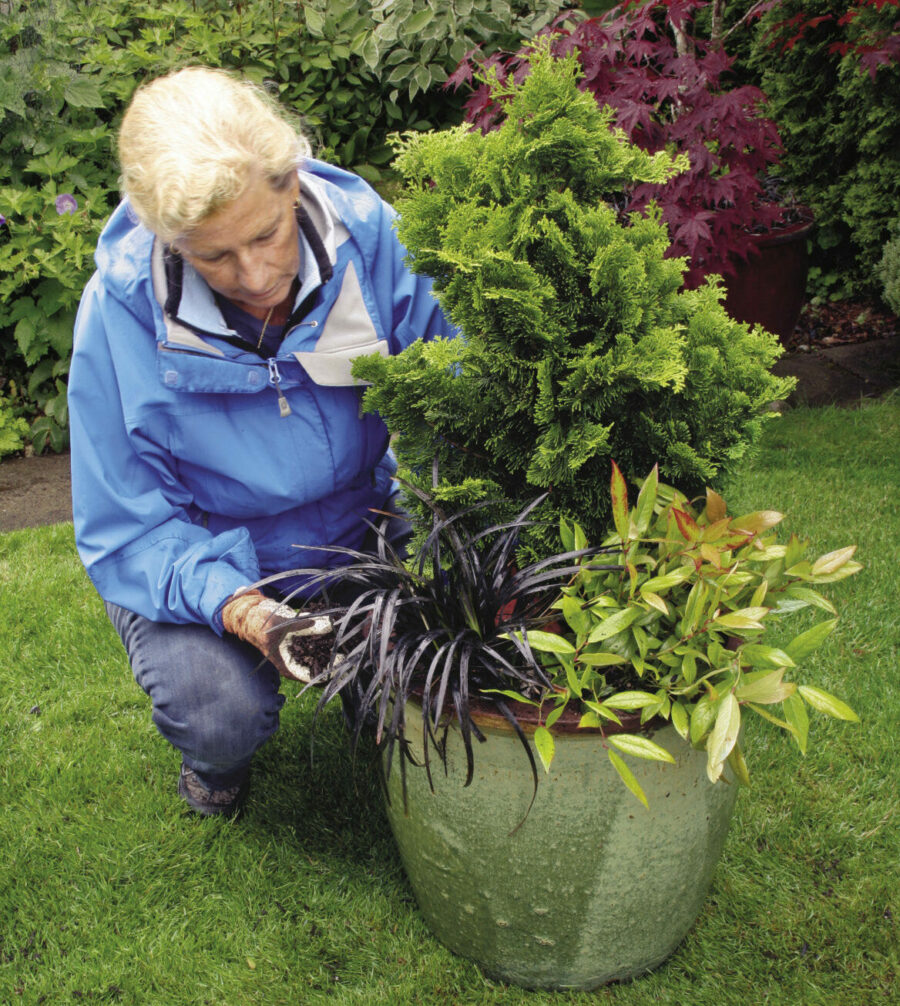 Pick the Perfect Pot - FineGardening