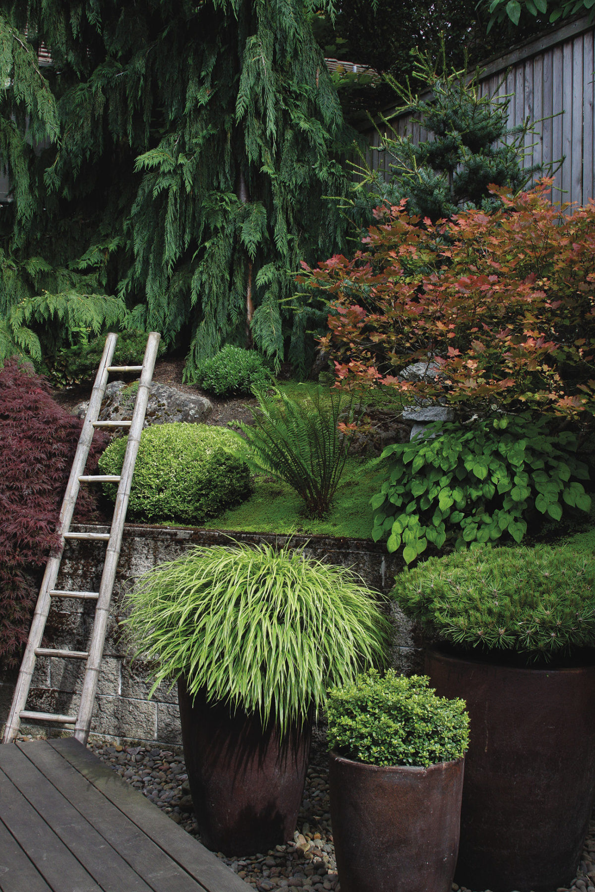 Design Ideas for a Small Space - Fine Gardening