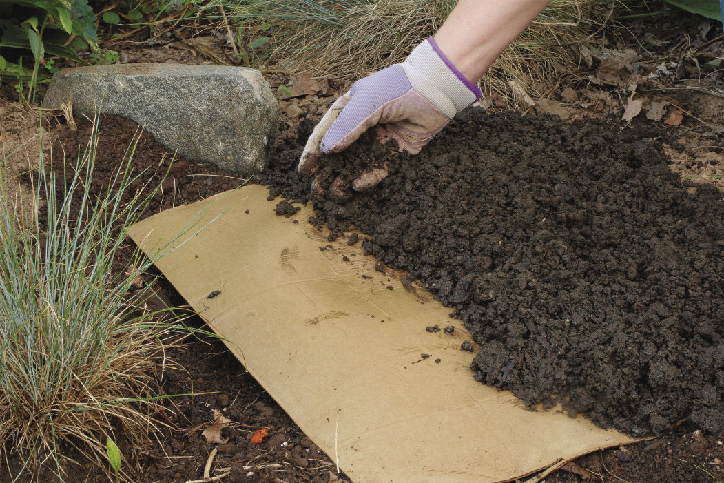 soil to keep away garden thugs