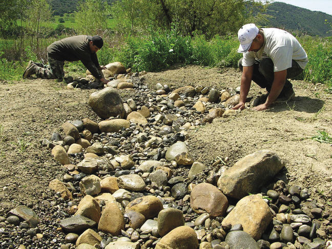 Design a Dry Streambed to Direct Runoff - Horticulture