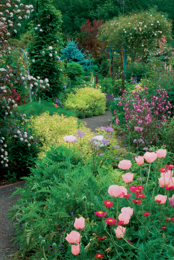 How to Create a Successful Flower Garden