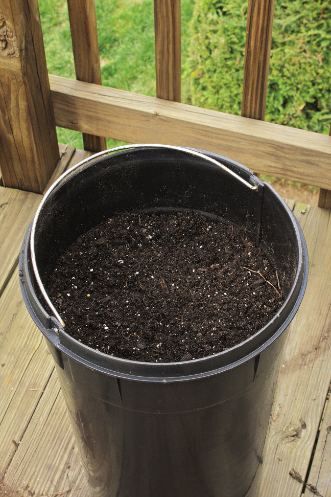 soil into can