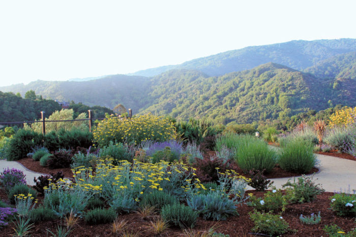 Ask a Master Gardener: Deer-resistant landscaping