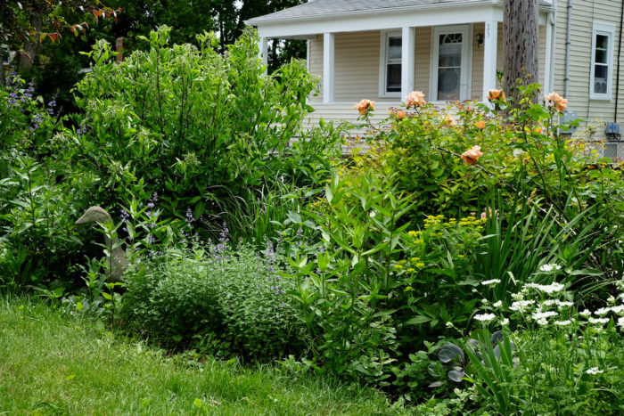 front-yard garden in June