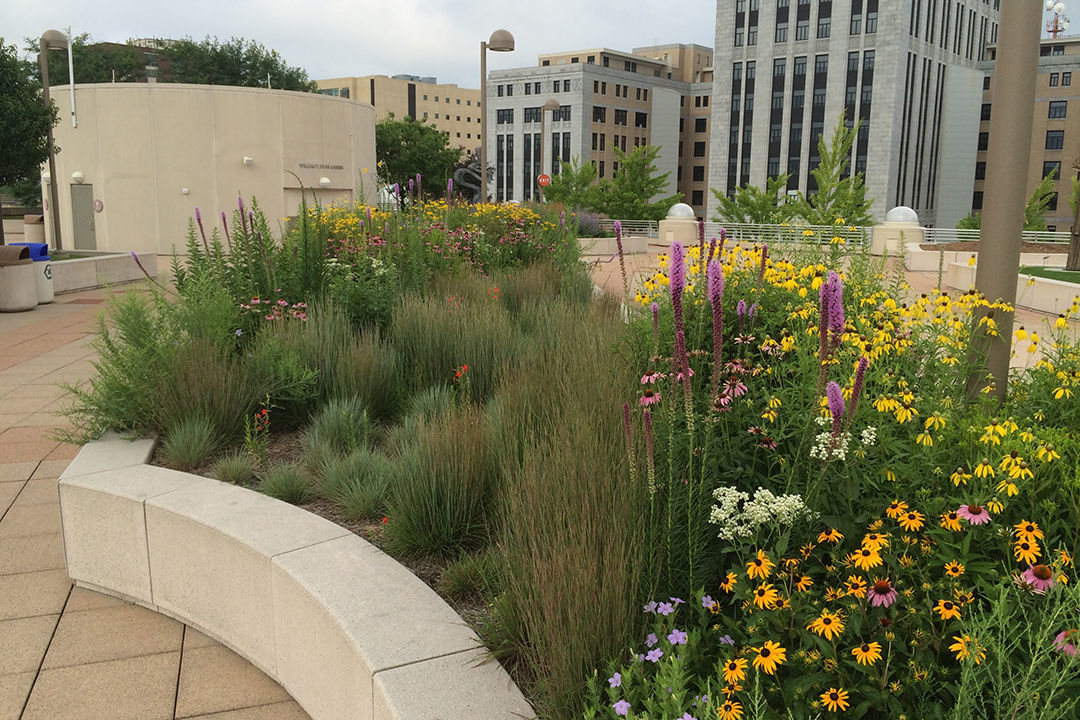 A Tour of the William T. Evjue Rooftop Garden