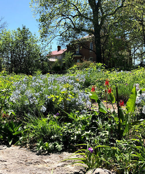 A Tour of the William T. Evjue Rooftop Garden