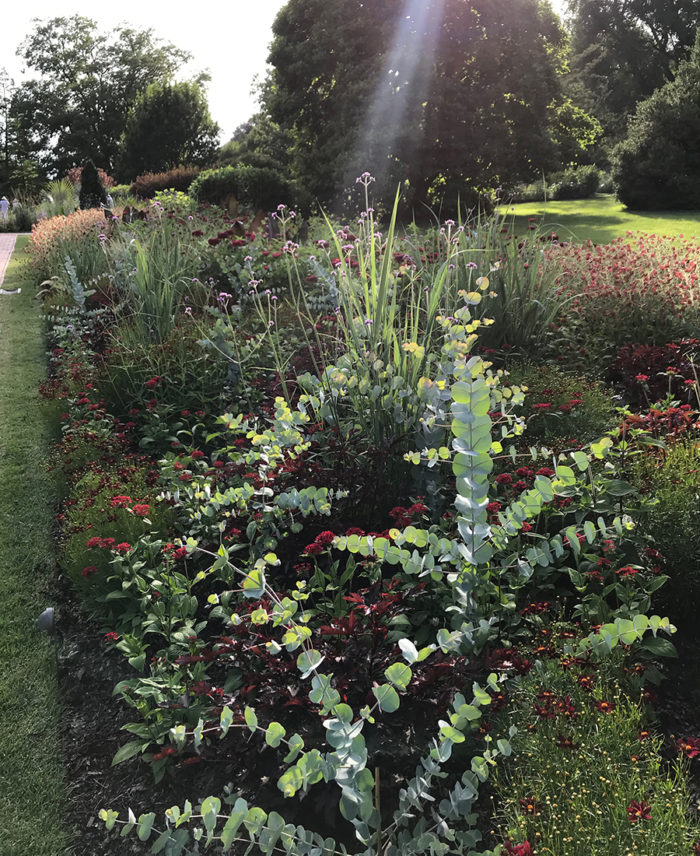 planted border