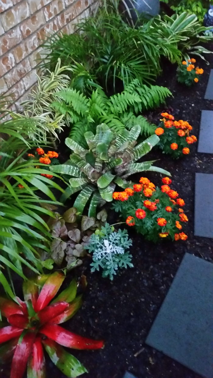 Creating a New Garden From Scratch Fine Gardening