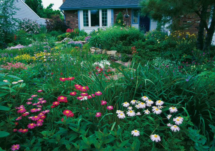 Colorful cottage garden with house in the background