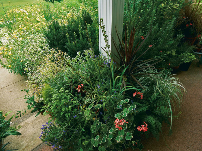 Plants and grasses around a pillar