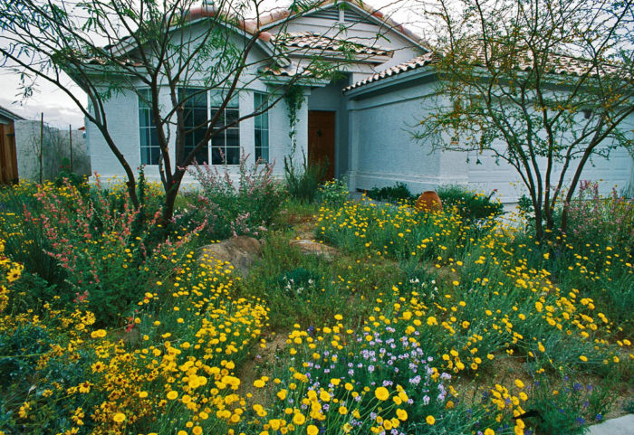 White house with yellow, blue, red flowers in front