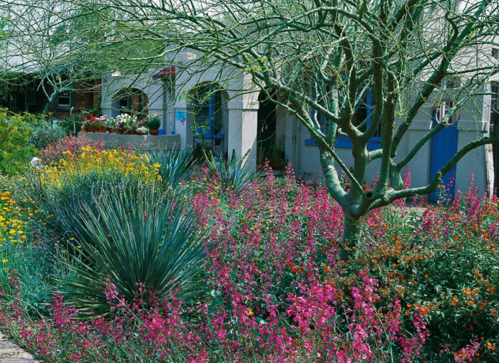 Bountiful, tall colorful flowers outside a large white house with arches and blue doors