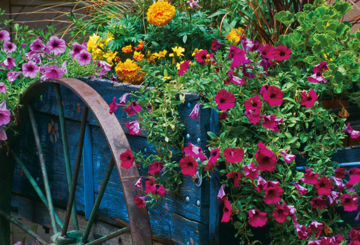 Wooden wagon wheels with color flowers