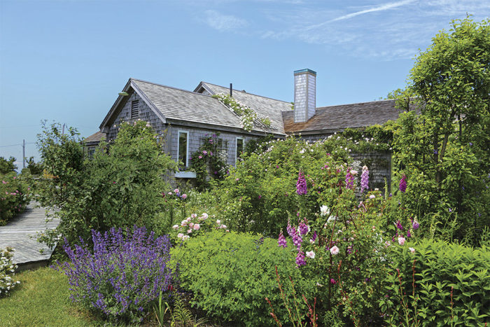 cottage garden that isn't chaotic