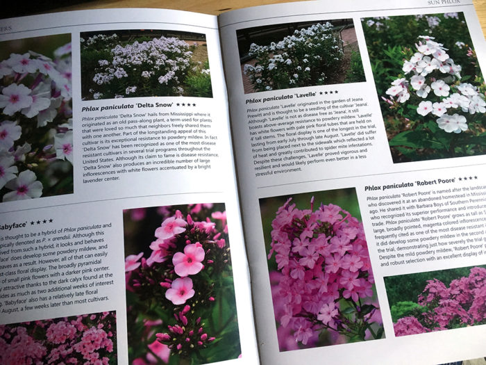 Mt. Cuba’s report on phlox for the Mid-Atlantic region