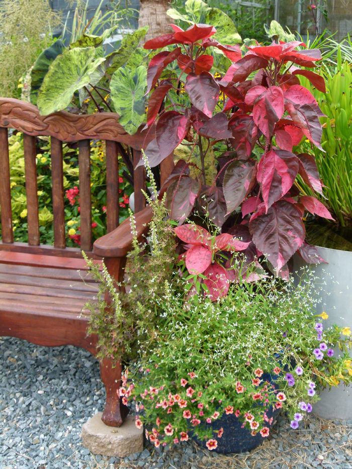 container planting next to bench