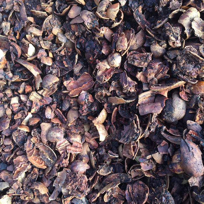 pecan shell mulch