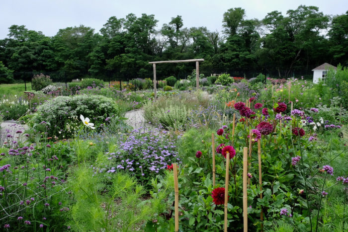 Northeast July Garden To-Do List - Fine Gardening