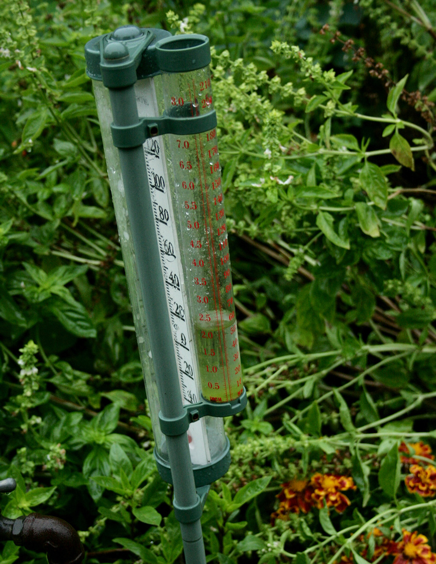 rain gauge