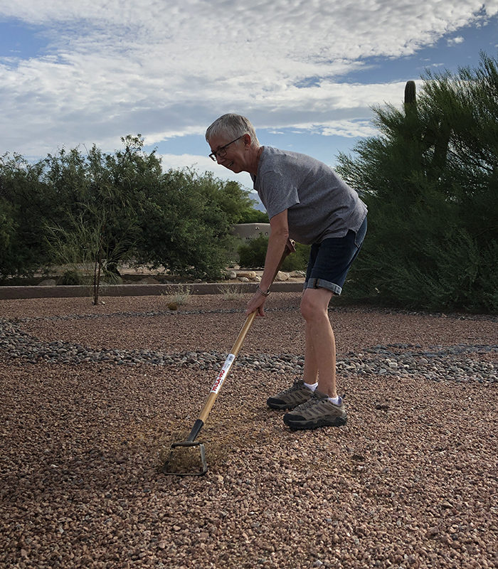 hula hoe removes weeds without bending down