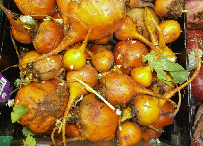 Golden beets in a pile