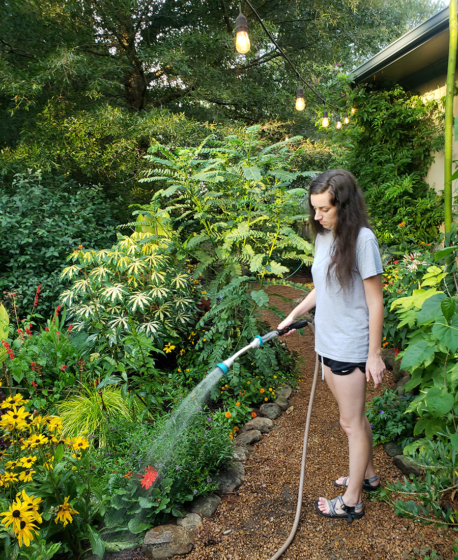 watering in summer