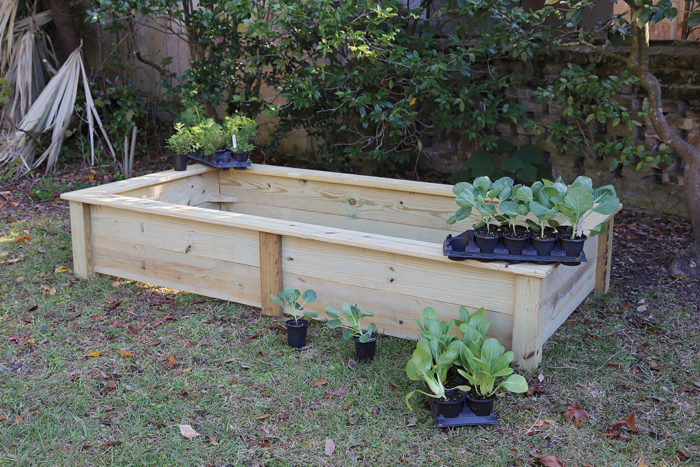 the finished raised bed