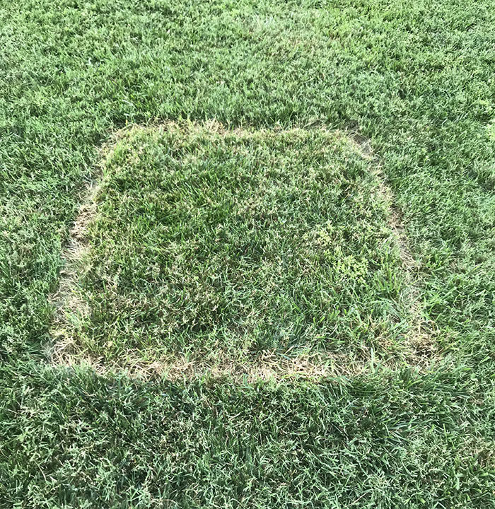 damaged lawn from children’s play equipment