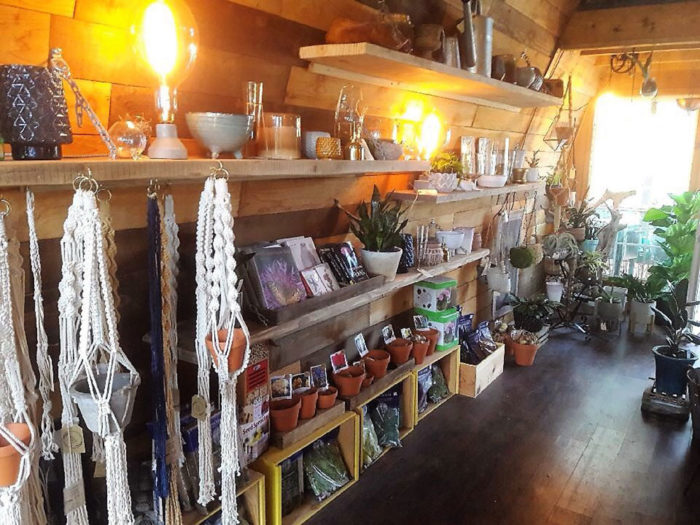 Giftshop at Tillery nursery