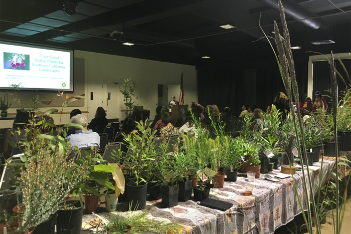 The 1st Annual Designer Plant Fair, 2018