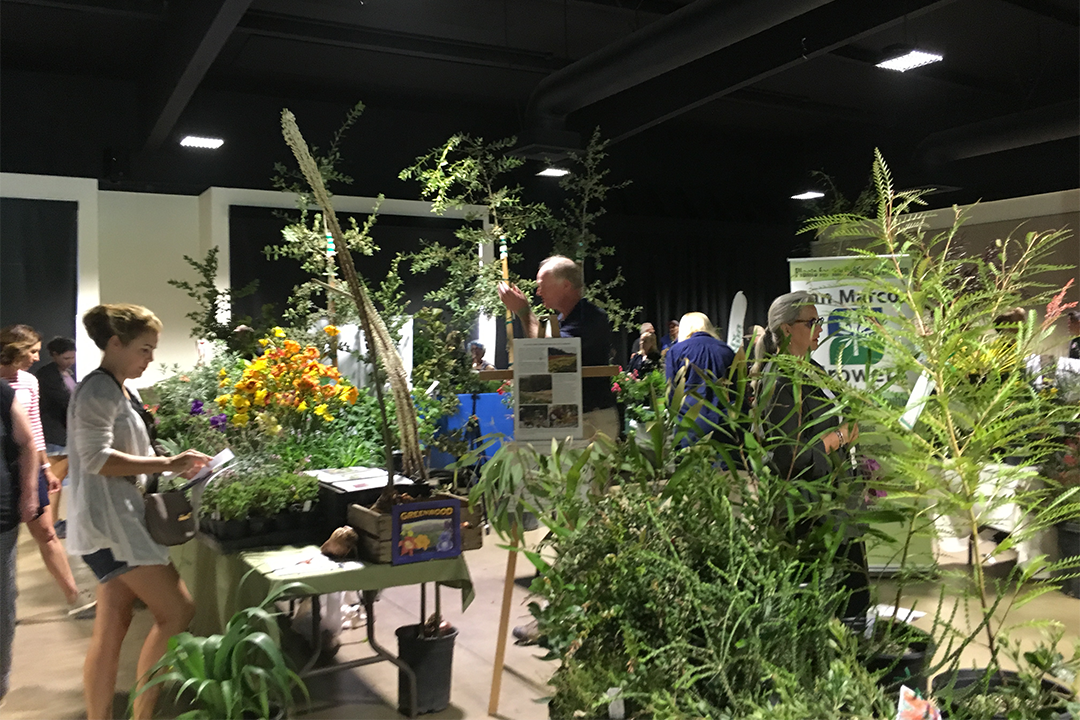 The 1st Annual Designer Plant Fair, 2018