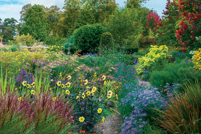 fall flowers