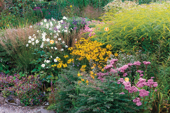 yellow fall flowers