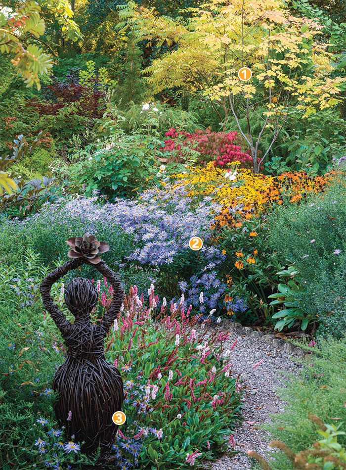 landscape with fall flowers