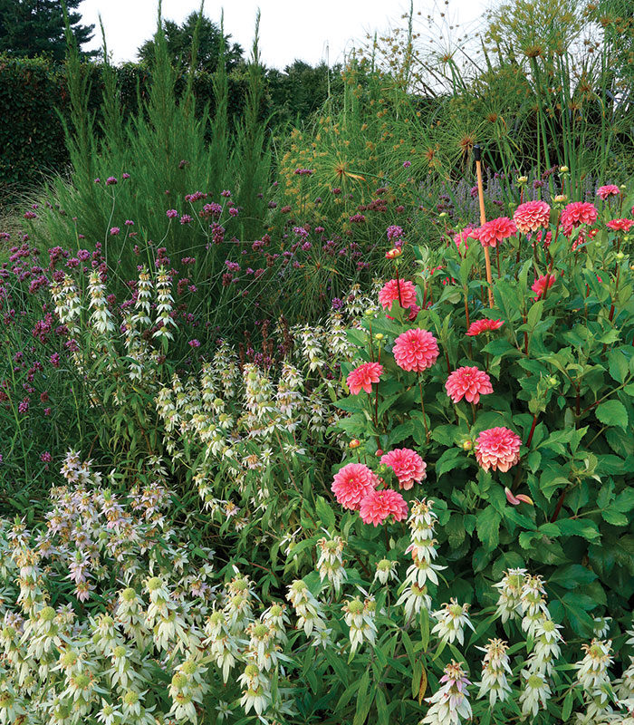 diverse mixed planting