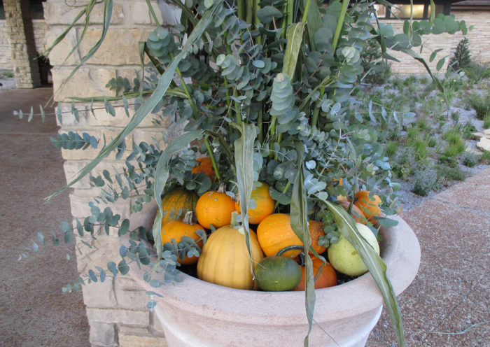 fall plant display