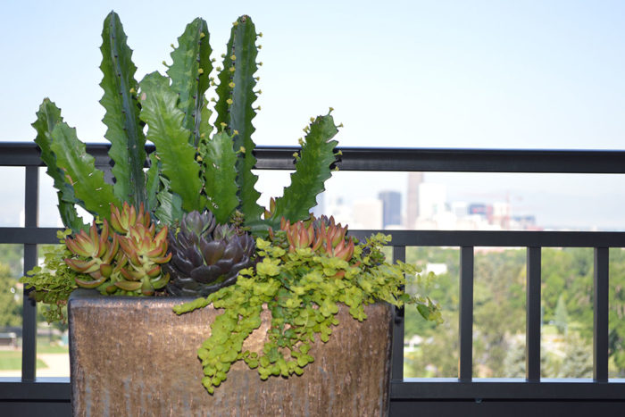 container on balcony