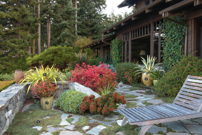 House and paving stones surrounded by various deer resistant plants with a stone wall and lounge chair.