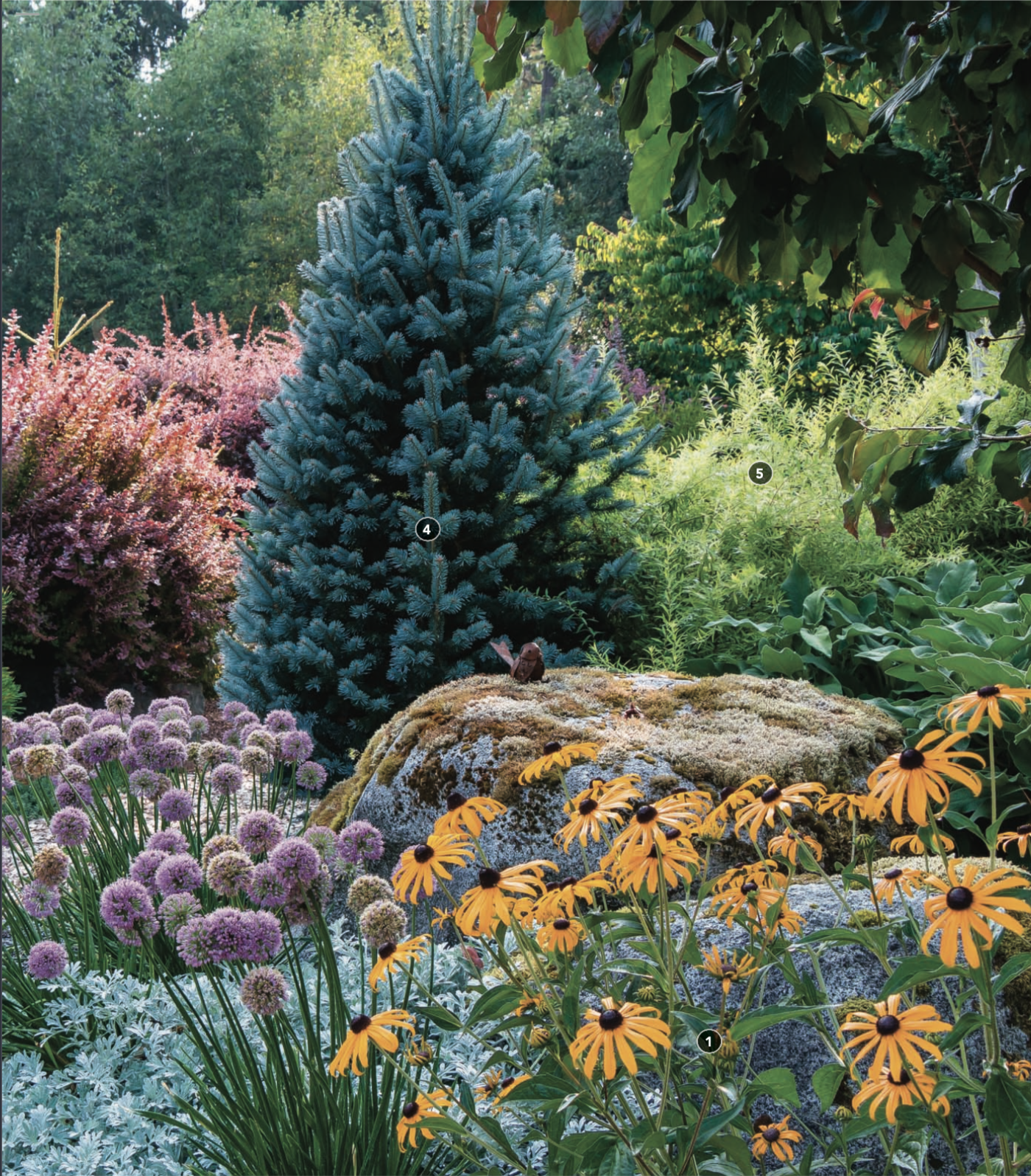 Evergreen conifers jostle with deciduous shrubs, perennials, and flowering bulbs in an inspiring medley of textures and color.
