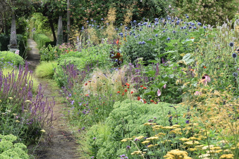 Design Advice for a Wild, Informal Garden - Fine Gardening