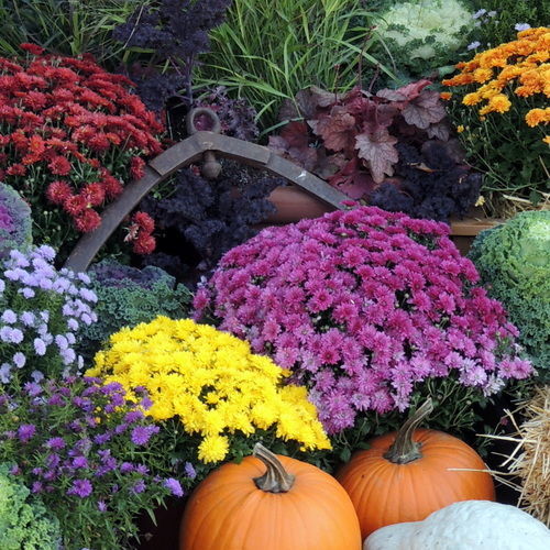 October Regional Garden To-do Lists - Fine Gardening