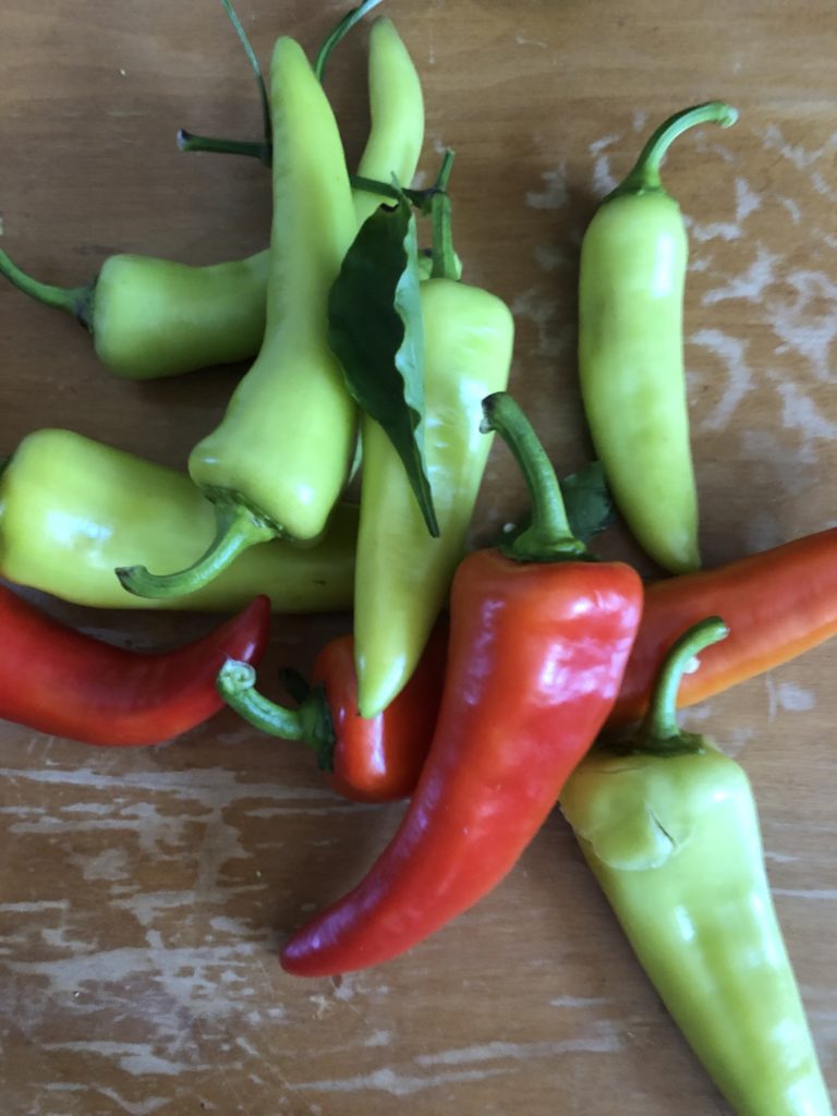 Growing Some Privacy - Fine Gardening