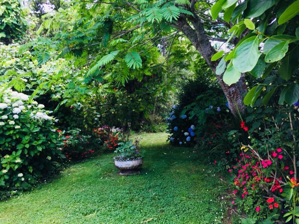 flowering shrubs